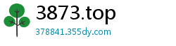 3873.top